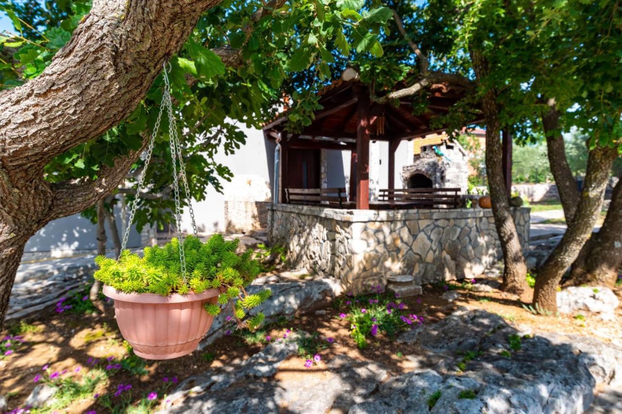 Villa Eagle Benkovac Esterno foto